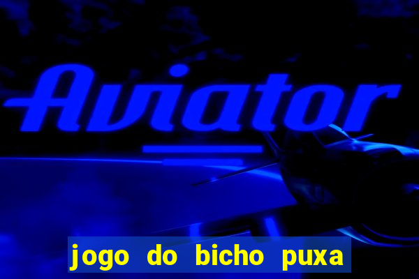 jogo do bicho puxa de dona maria